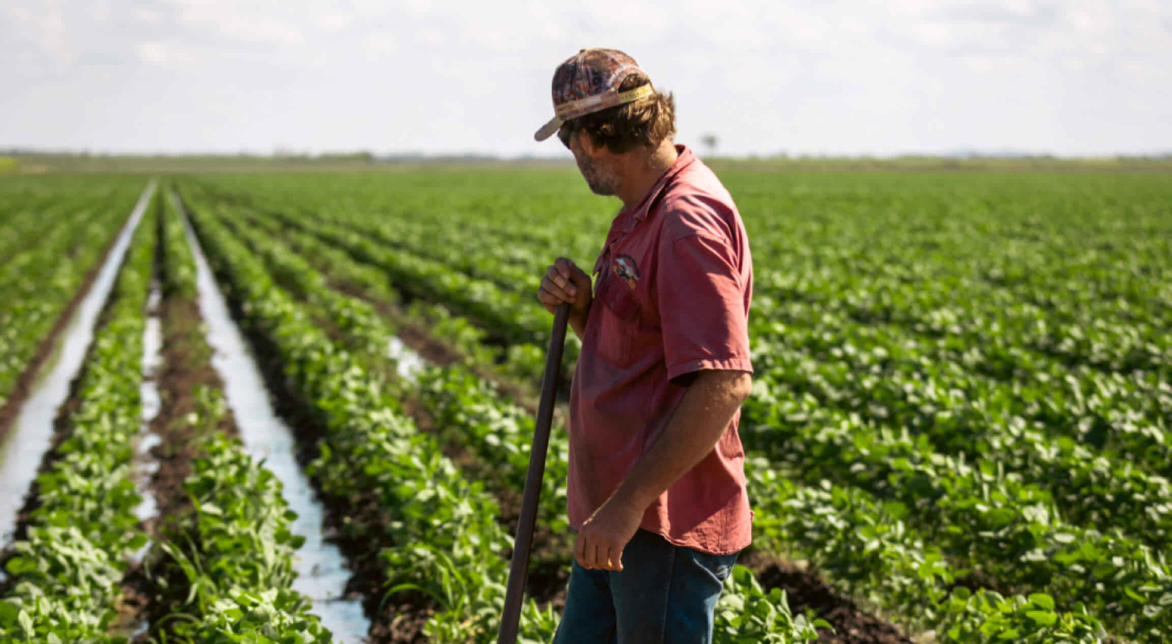 waterways-farmer-crops-landscape.jpg